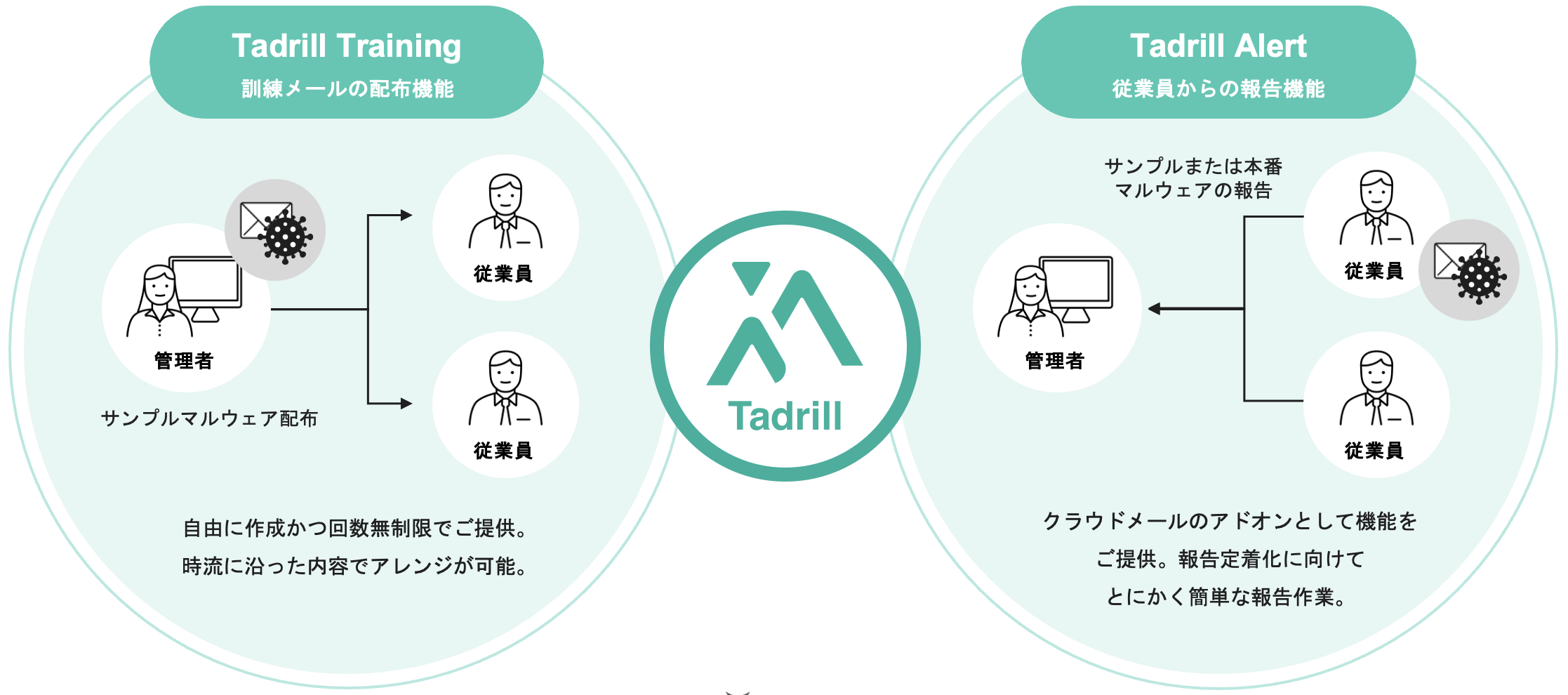 Tadrill 概要画像.png