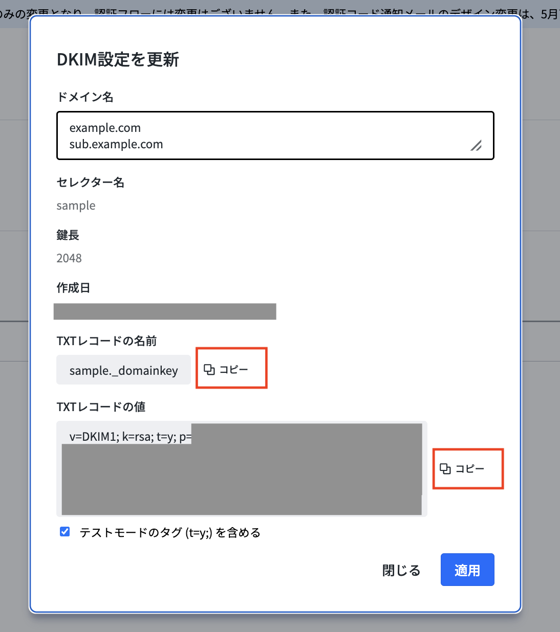 Copy TXT record screen
