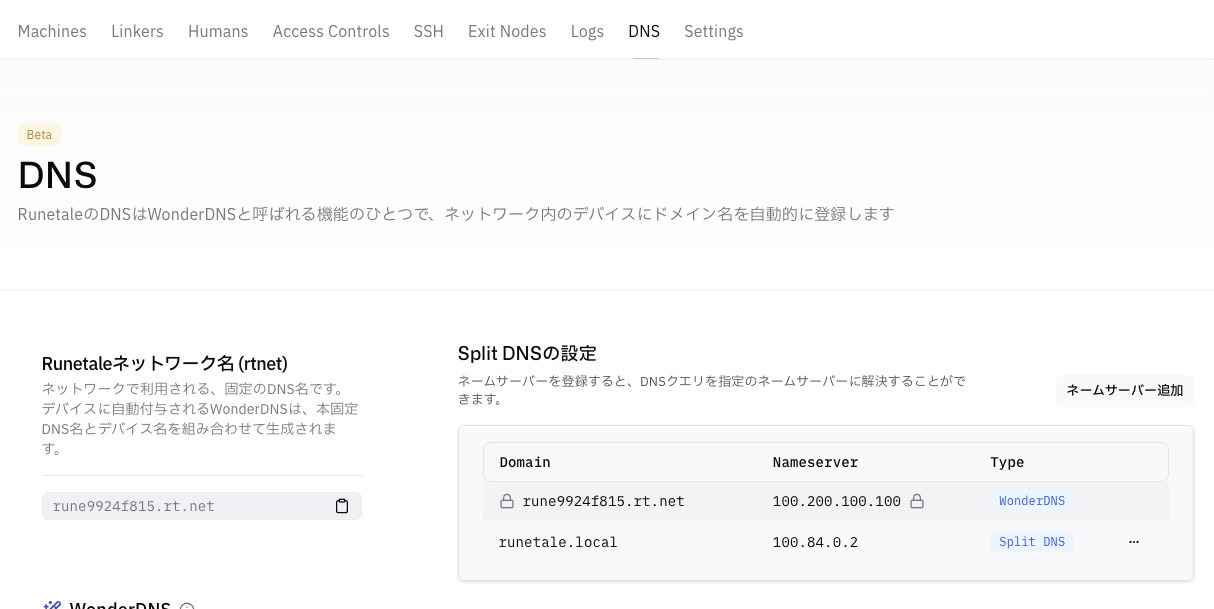 Mesh Network管理画面でDNSにアクセスする画面