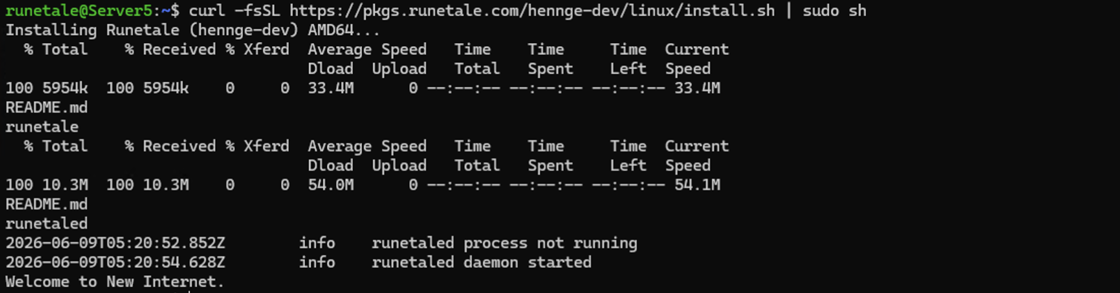 Screen showing the result of running the agent installation command