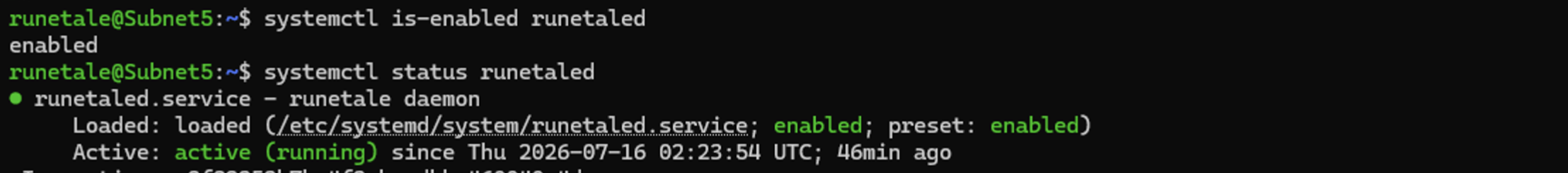 Screen for checking the runetaled service status on Linux