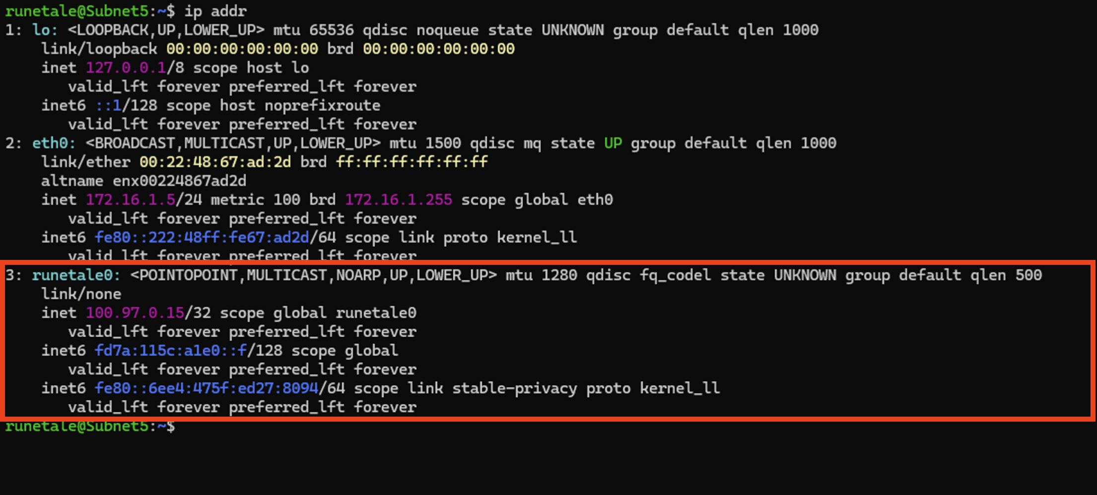 Screen for checking the IP address of the Runetale adapter in the Linux ip addr command output