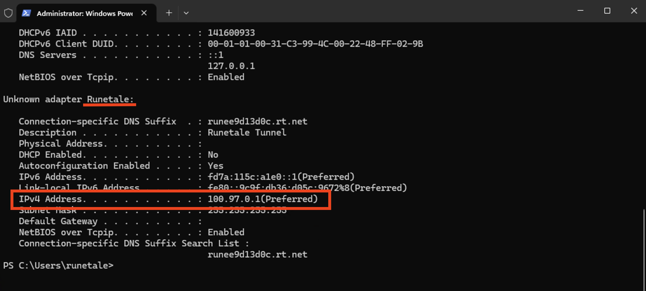 Screen for checking the IP address of the Runetale adapter in the Windows ipconfig command output